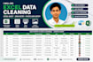 excel data entry, data cleaning, PDF to excel, copy paste