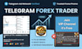 add 300k telegram forex trader, fix telegram ads errors forex promotion telegram
