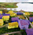 do expert polygon image segmentation