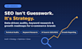 a technical SEO audit and find website issues