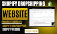 redesign shopify website shopify store design or shopify dropshipping store