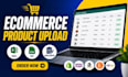 ecommerce data entry, spreadsheet, excel, product upload, data entry