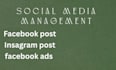 be your social media manager and strategy
