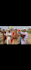 do happy birthday video