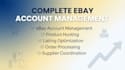 do ebay account management and product hunting