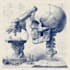create scientific illustrations, diagrams and graphical abstract