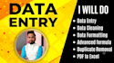 do advanced excel data cleaning data entry and clean up