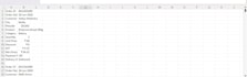 do excel data cleaning, formatting and data conversion
