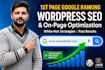 do complete wordpress SEO optimization and technical audit