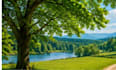 creat stunning ai nature landscape backgrounds
