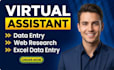 do excel data entry and data cleaning and webresearch