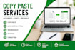 do excel data entry , copy paste, wed research typing