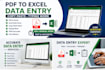 do PDF to excel, exceldata entry and typing work