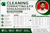clean format  organize and fix your excel spredsheet professionally
