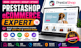 design prestashop ecommerce website, theme, module, code and core web vitals