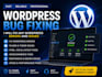 fix wordpress bugs, errors and CSS issues