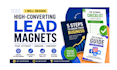 design a professional lead magnet pdf ebook or workbook