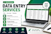 do data entry, data cleaning, excel and google sheets tasks