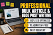 write professional bulk SEO articles and blog posts