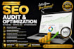 do a complete website SEO audit and optimization