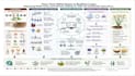 design scientific figures and graphical abstracts