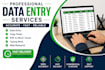 professional data entry, copy paste and PDF conversion