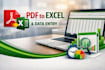 data entry and convert pdf to excel files, data entry