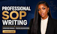write sops, operations manuals, and business process documentation