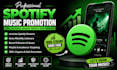 do spotify music promotion