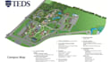 design custom campus map, university map, and wayfinding plan, map illustration