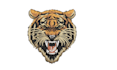 convert your logo to dst,pes,exp using wilcom fast embroidery digitizing