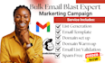 send bulk email blast, email campaign, cold email