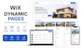 design wix dynamic pages wix cms wix velo wix website wix developer expert