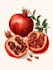 illustrate best botanical illustration