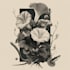 do a botanical illustration art