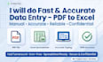 do professional data entry in excel with 24h delivery