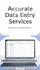 do accurate data entry, excel copy paste and fast typing