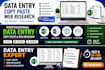 do copy paste, web research and data entry
