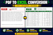 professional PDF to excel conversion