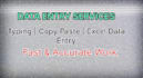 do accurate data entry, copy paste and web search