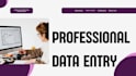 do fast and accurate data entry in google sheets and excel