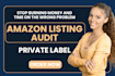do amazon listing audit for private label to fix low ranking and conversion