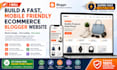 design a fast, mobile friendly ecommerce blogger website