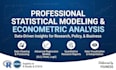 do professional statistical modeling and econometric analysis in stata and r