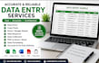 do accurate data entry and copy paste
