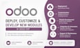 develop new odoo erp features, customize existing modules and fix issues