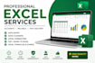 professional microsoft excel data entry