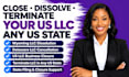 close, dissolve or terminate your US llc, wyoming, delaware, in any US state