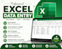 do microsoft excel data entry, copy paste, typing and formatting
