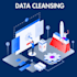 do expert data entry, data cleaning, manipulation, and visualization